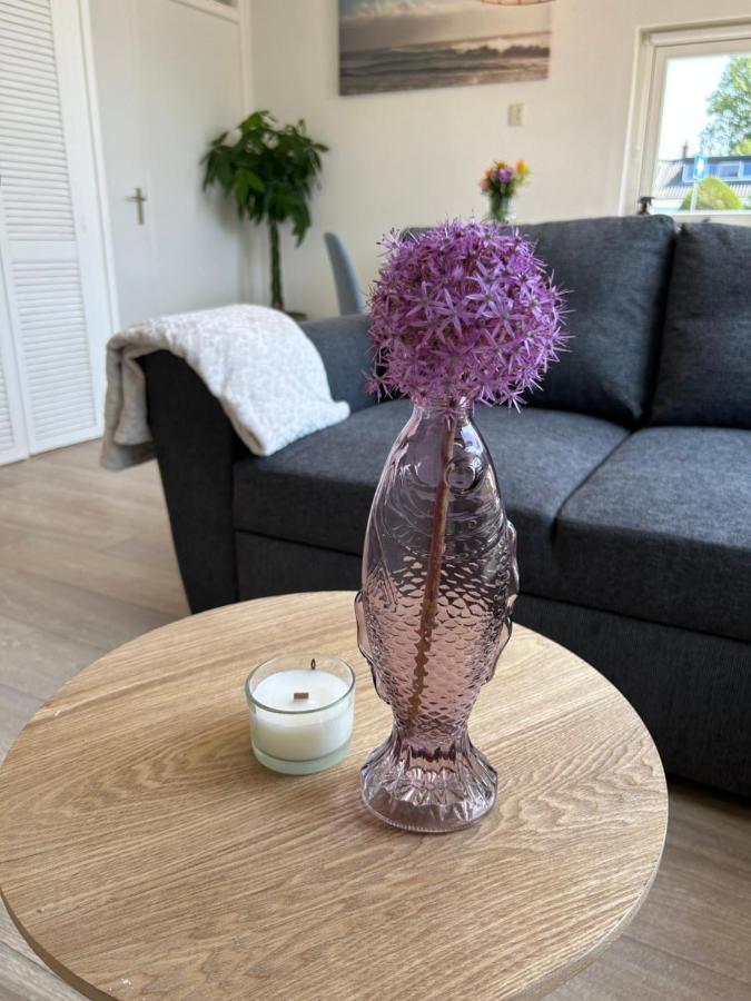 Amsterdam Beach Apartment 17, Incl Parking + Garden Zandvoort Exterior foto